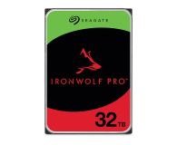 Dysk wewnętrzny SEAGATE ST32000NT000